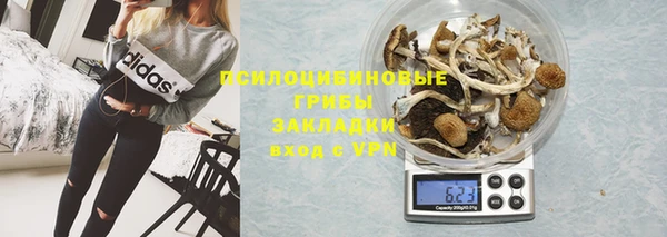 PSILOCYBIN Дмитриев