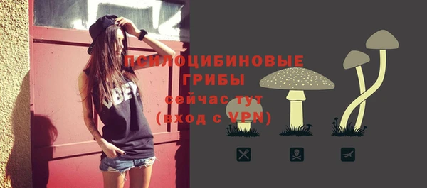 прущий лед Дмитров
