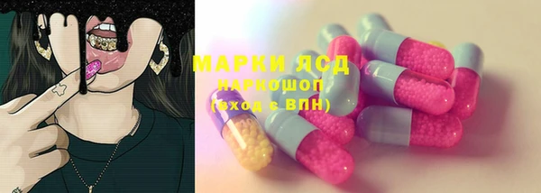 PSILOCYBIN Дмитриев