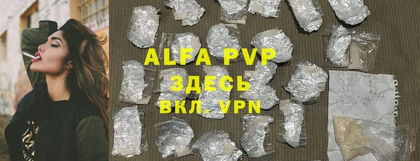 PSILOCYBIN Дмитриев