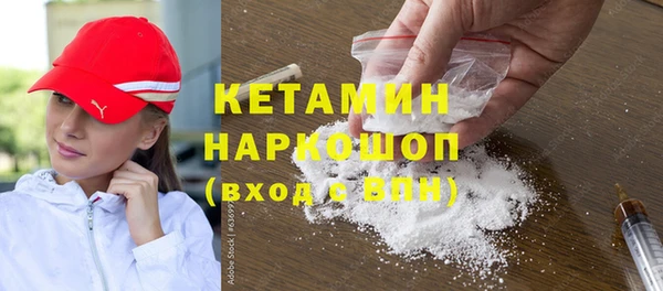 PSILOCYBIN Дмитриев