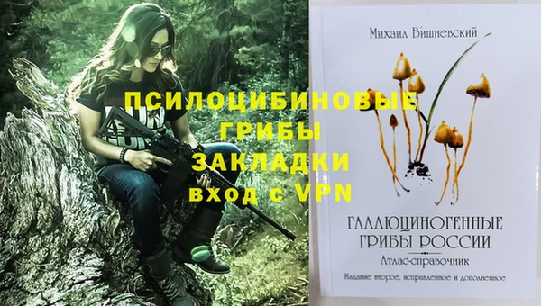 не бодяженный Дмитровск