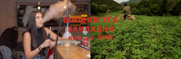 прущий лед Дмитров