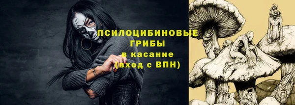 PSILOCYBIN Дмитриев