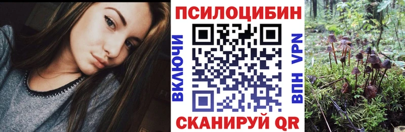 дарнет шоп  Керчь  Галлюциногенные грибы мухоморы 